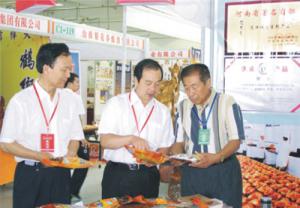 原安陽市市長董永安、副市長陳明今到公司調(diào)研